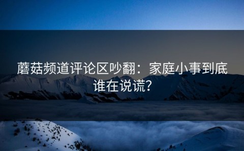 蘑菇频道评论区吵翻：家庭小事到底谁在说谎？