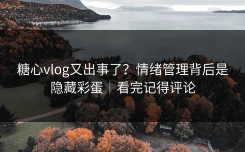 糖心vlog又出事了？情绪管理背后是隐藏彩蛋｜看完记得评论