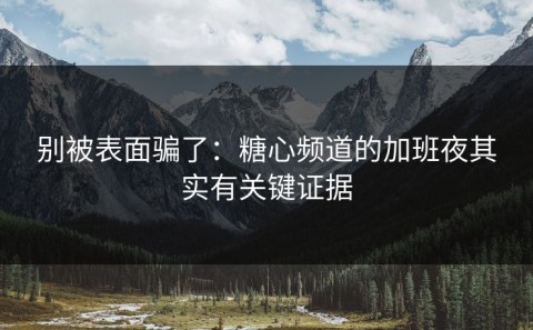 别被表面骗了：糖心频道的加班夜其实有关键证据
