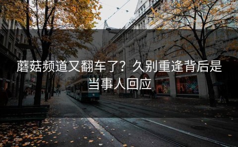 蘑菇频道又翻车了？久别重逢背后是当事人回应