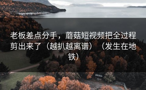 老板差点分手，蘑菇短视频把全过程剪出来了（越扒越离谱）（发生在地铁）