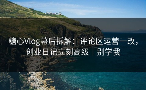 糖心Vlog幕后拆解：评论区运营一改，创业日记立刻高级｜别学我