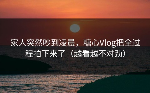 家人突然吵到凌晨，糖心Vlog把全过程拍下来了（越看越不对劲）