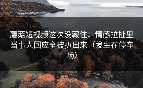 蘑菇短视频这次没藏住：情感拉扯里当事人回应全被扒出来（发生在停车场）
