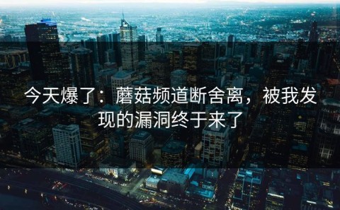 今天爆了：蘑菇频道断舍离，被我发现的漏洞终于来了