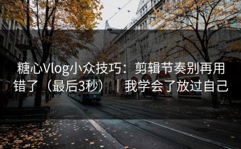 糖心Vlog小众技巧：剪辑节奏别再用错了（最后3秒）｜我学会了放过自己