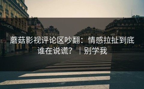 蘑菇影视评论区吵翻：情感拉扯到底谁在说谎？｜别学我