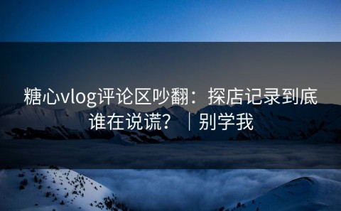 糖心vlog评论区吵翻：探店记录到底谁在说谎？｜别学我