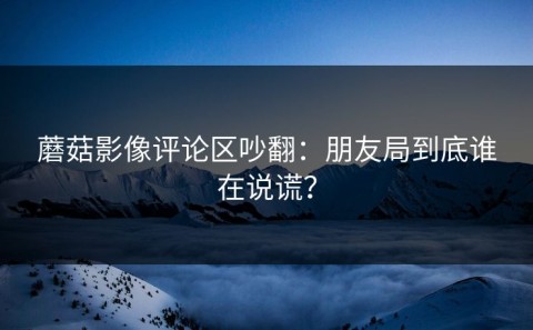 蘑菇影像评论区吵翻：朋友局到底谁在说谎？