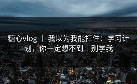 糖心vlog ｜ 我以为我能扛住：学习计划，你一定想不到｜别学我