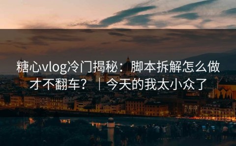 糖心vlog冷门揭秘：脚本拆解怎么做才不翻车？｜今天的我太小众了