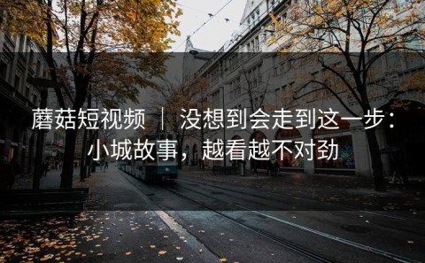 蘑菇短视频 ｜ 没想到会走到这一步：小城故事，越看越不对劲