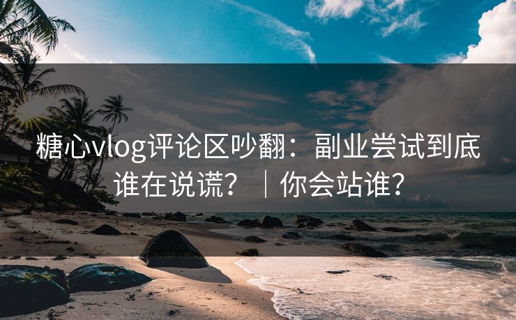 糖心vlog评论区吵翻:副业尝试到底谁在说谎?|你会站谁? 糖心vlog评论区吵翻:副业尝试到底谁在说谎?|你会站谁?