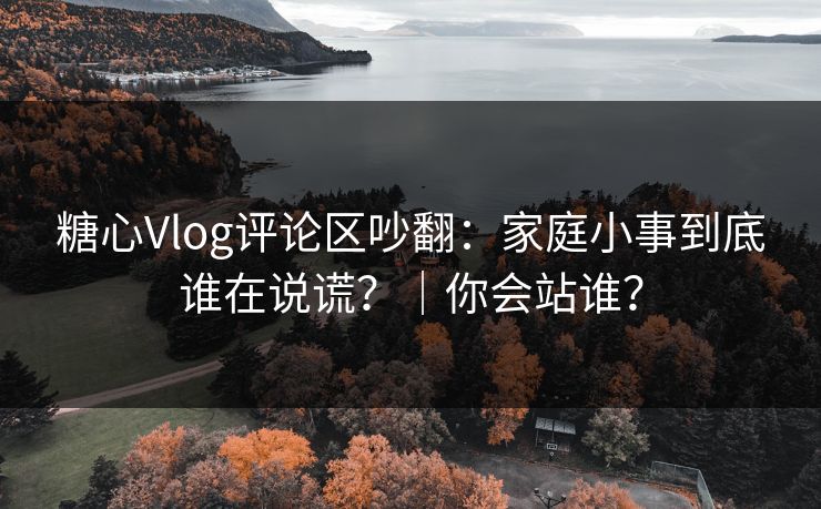 糖心Vlog评论区吵翻：家庭小事到底谁在说谎？｜你会站谁？