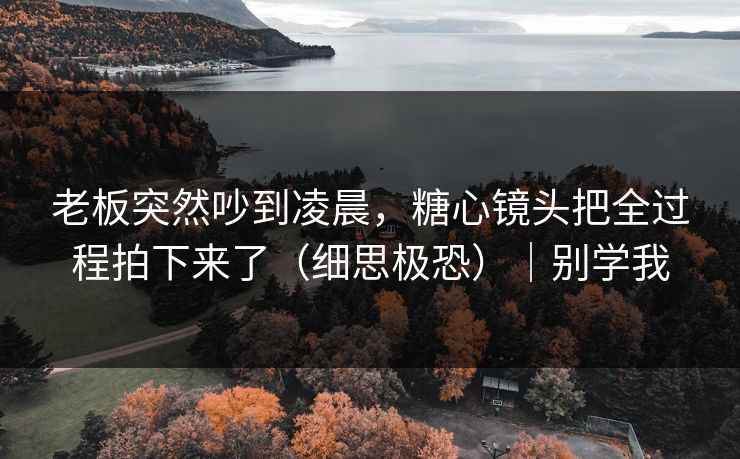 老板突然吵到凌晨,糖心镜头把全过程拍下来了(细思极恐)|别学我 老板突然吵到凌晨,糖心镜头把全过程拍下来了(细思极恐)|别学我