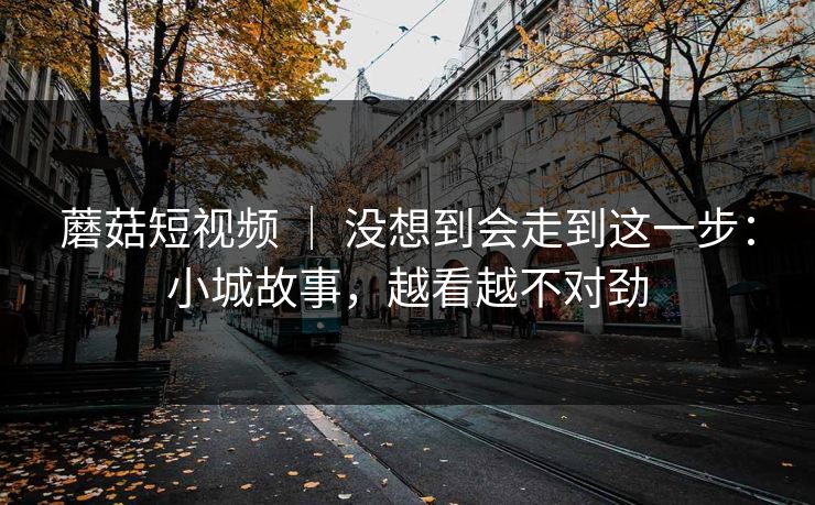 蘑菇短视频 ｜ 没想到会走到这一步：小城故事，越看越不对劲