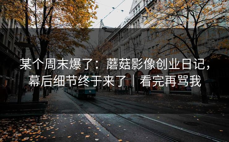某个周末爆了:蘑菇影像创业日记,幕后细节终于来了|看完再骂我 某个周末爆了:蘑菇影像创业日记,幕后细节终于来了|看完再骂我