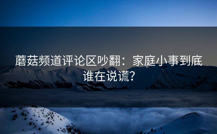 蘑菇频道评论区吵翻:家庭小事到底谁在说谎? 蘑菇频道评论区吵翻:家庭小事到底谁在说谎?